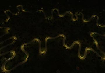Utopia Melody (short) Map version 1.0 for Assetto Corsa