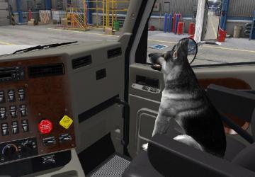 Mans Best Friend version 1.0 for American Truck Simulator (v1.46.x)