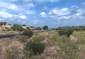 Grass Density x2 version 1.0 for American Truck Simulator (v1.37.x, - 1.42.x)