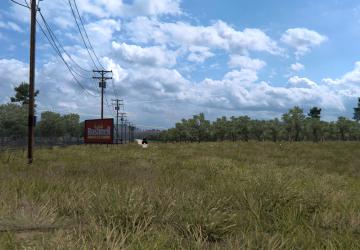 Grass Density x2 version 1.0 for American Truck Simulator (v1.37.x, - 1.42.x)