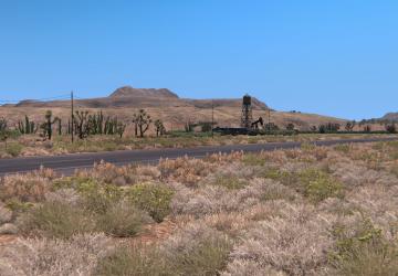 Grass Density x2 version 1.0 for American Truck Simulator (v1.37.x, - 1.42.x)