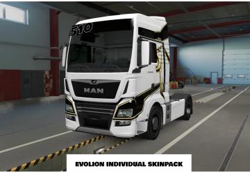 EvoLion Individual SkinPack for MADster MAN v1.0 for Euro Truck Simulator 2 (v1.41.x)
