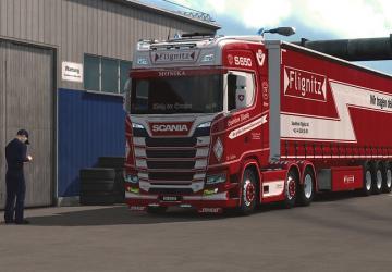 Flignitz Trucks skins version 1.0 for Euro Truck Simulator 2 (v1.35.x)