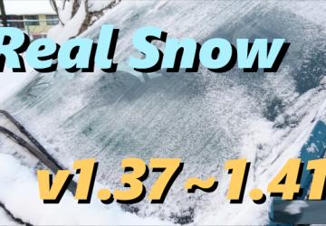 Realistic Snow version 2.2 for Euro Truck Simulator 2 (v1.42.x)
