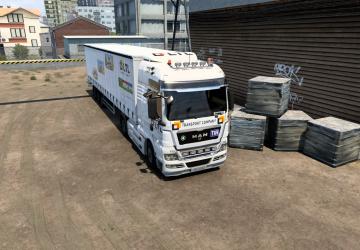 LTL Group Skin version 1.0 for Euro Truck Simulator 2 (v1.43.x)