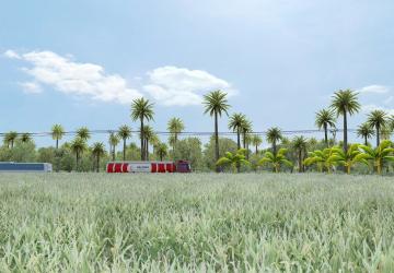 West Kalimantan version 1.0 for Euro Truck Simulator 2 (v1.36.x, - 1.40.x)