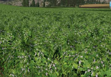 FORGOTTEN PLANTS - SOYBEAN version 1.0 for Farming Simulator 2019 (v1.3.0.1)