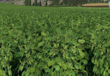 FORGOTTEN PLANTS - SOYBEAN version 1.0 for Farming Simulator 2019 (v1.3.0.1)