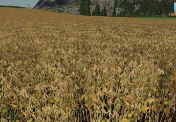 FORGOTTEN PLANTS - SOYBEAN version 1.0 for Farming Simulator 2019 (v1.3.0.1)
