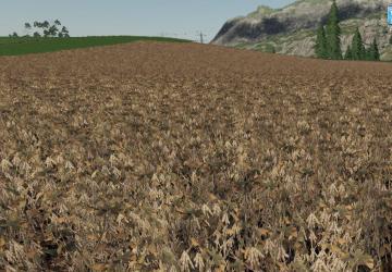 FORGOTTEN PLANTS - SOYBEAN version 1.0 for Farming Simulator 2019 (v1.3.0.1)