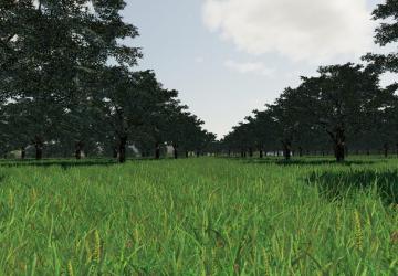 GEO Central Italy version 1.0.0.0 for Farming Simulator 2019 (v1.4х)