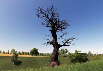 Ancient Tree Pack version 1.0.0.0 for Farming Simulator 2019 (v1.6.0.0)