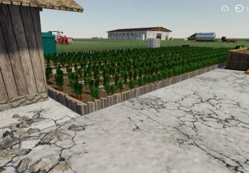Carrot Production version 1.0.0.0 for Farming Simulator 2019 (v1.5.x)
