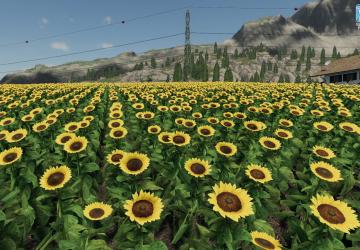 Forgotten Plants - Sunflower/canola version 1.0 for Farming Simulator 2019 (v1.1.0.0)