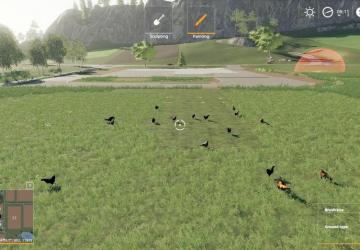 Free Range Chickens version 1.0 for Farming Simulator 2019 (v1.5.1.0)