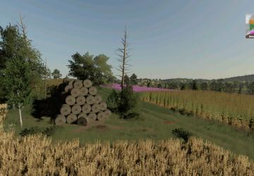 Map Dabnica version 1.1.0.0 for Farming Simulator 2019 (v1.7.x)