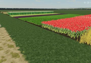 Emptymap Map version 1.0.0.0 for Farming Simulator 2019 (v1.5.x)