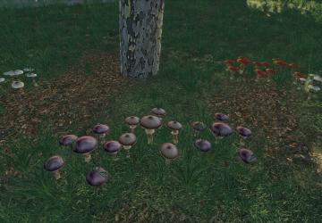 Mushrooms version 1.0.0.0 for Farming Simulator 2019