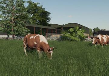 PETERVILL FARM Map version 1.1.0.0 for Farming Simulator 2019 (v1.7.x)