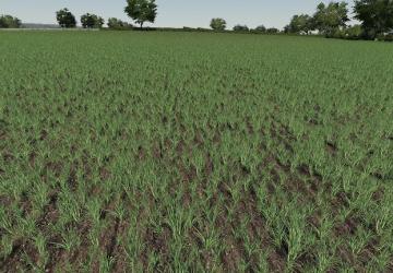 Realistic Cereal And Canola Crop Densities v1.0.0.0 for Farming Simulator 2019 (v1.4х)