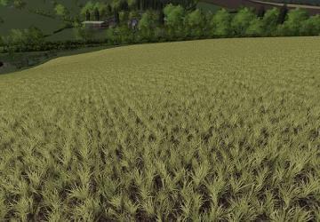 Realistic Cereal And Canola Crop Densities v1.0.0.0 for Farming Simulator 2019 (v1.4х)