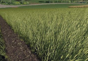 Realistic Cereal And Canola Crop Densities v1.0.0.0 for Farming Simulator 2019 (v1.4х)