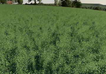 Realistic Cereal And Canola Crop Densities v1.0.0.0 for Farming Simulator 2019 (v1.4х)