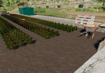 Strawberry Garden version 1.0 for Farming Simulator 2019
