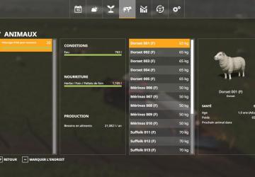 Summer Sheep Pasture version 1.0.0.1 for Farming Simulator 2019 (v1.6.0.0)