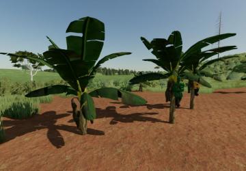 Banana Tree version 1.0.0.0 for Farming Simulator 2022