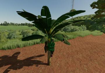 Banana Tree version 1.0.0.0 for Farming Simulator 2022
