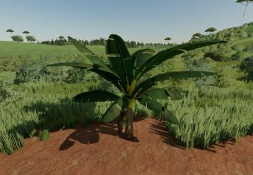 Banana Tree version 1.0.0.0 for Farming Simulator 2022