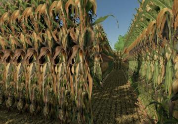 DIY Corn Maze version 1.0.0.0 for Farming Simulator 2022