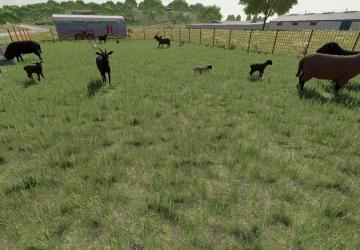 Enhanced Sheep And Goat Pasture version 1.0.0.0 for Farming Simulator 2022