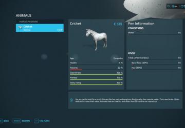 Horseman version 1.0.0.0 for Farming Simulator 2022