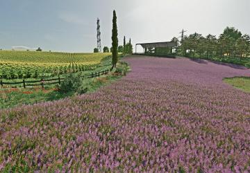 Hills Of Tuscany Map version 1.1.0.2 for Farming Simulator 2022