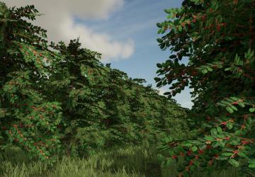 Recanto Da Alvorada Map version 1.1.0.0 for Farming Simulator 2022