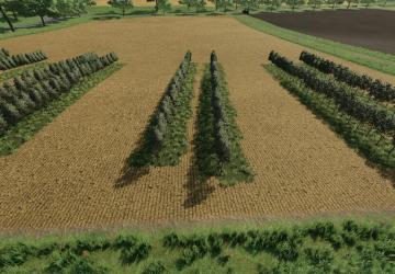 Variable Olivevine Widths version 1.0.0.0 for Farming Simulator 2022