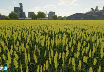 New Crops in Farming Simulator 22