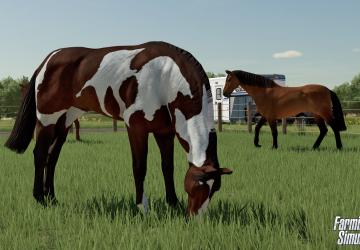 Animal Husbandry in Farming Simulator 2022