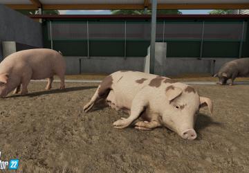 Animal Husbandry in Farming Simulator 2022