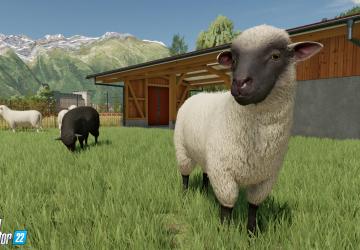 Animal Husbandry in Farming Simulator 2022