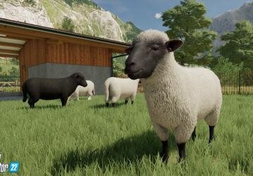 Animal Husbandry in Farming Simulator 2022