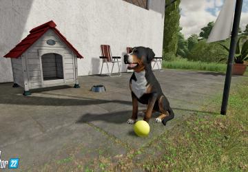 Animal Husbandry in Farming Simulator 2022