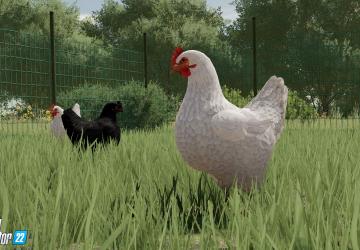Animal Husbandry in Farming Simulator 2022