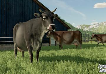 Animal Husbandry in Farming Simulator 2022