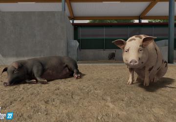 Animal Husbandry in Farming Simulator 2022