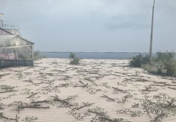 Bukit Pasir Map version 02.08.20 for Spintires: MudRunner (v14.08.19)
