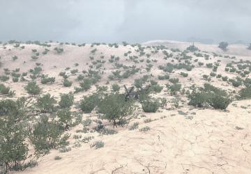 Scarab Back 40 Map version 07.06.20 for Spintires: MudRunner (v14.08.19)