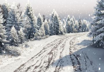 Ice Road Map version 1.0 for SpinTires (v03.03.16)